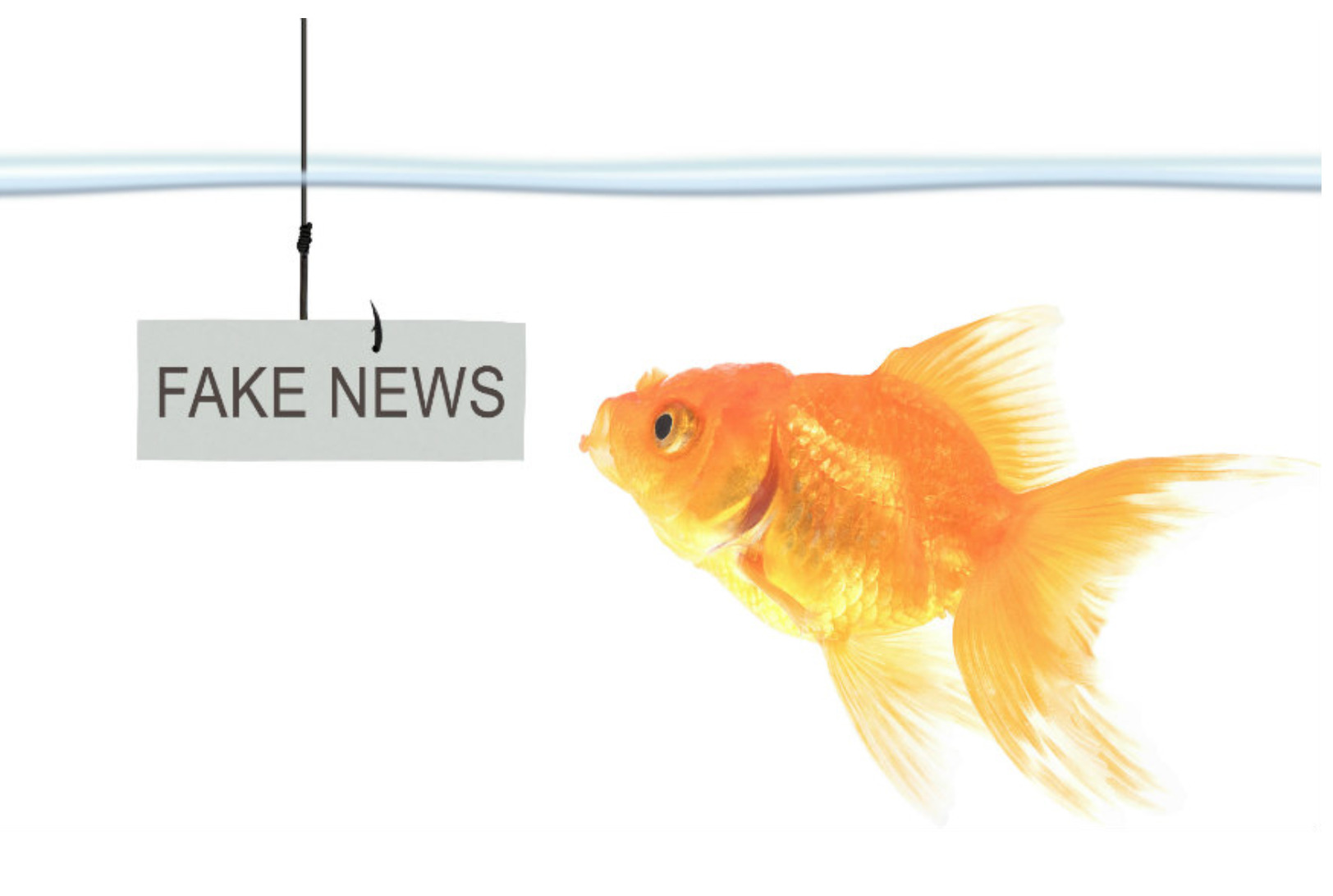 Fake News, attenti al pesce d’aprile che fa arricchire soggetti senza scrupoli